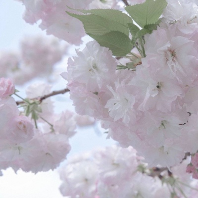 庆云福瑞交流群